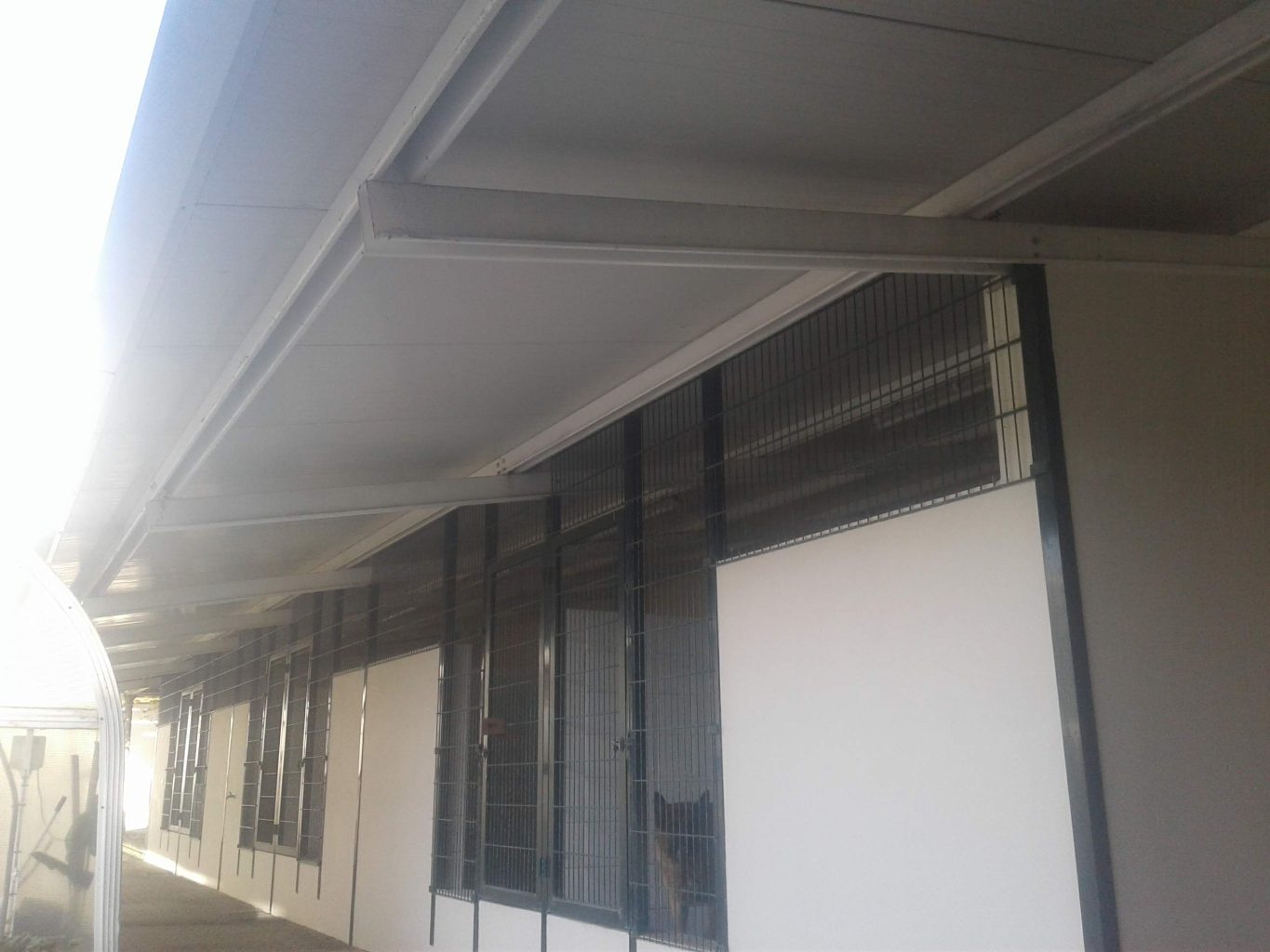 cobertura metalica de canil